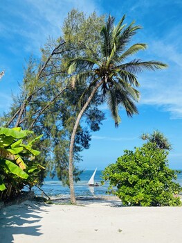 kiwengwa