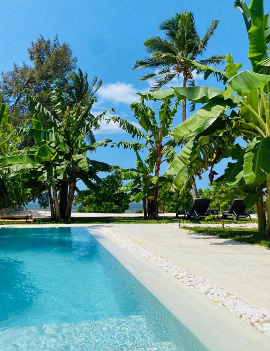 luxury lions villas zanzibar with private cookandinfinity pools
