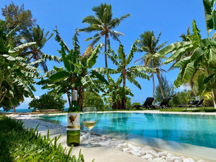 luxury lions villas zanzibar with private cookandinfinity pools