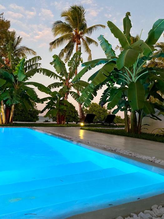 luxury lions villas zanzibar with private cookandinfinity pools