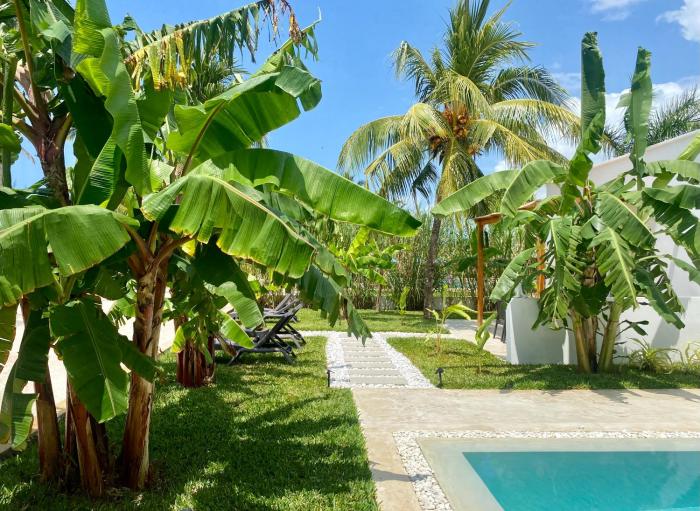 luxury lions villas zanzibar with private cookandinfinity pools