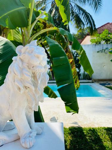 luxury lions villas zanzibar with private cookandinfinity pools