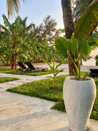 luxury lions villas zanzibar with private cookandinfinity pools