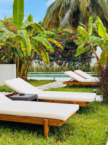 luxury lions villas zanzibar with private cookandinfinity pools