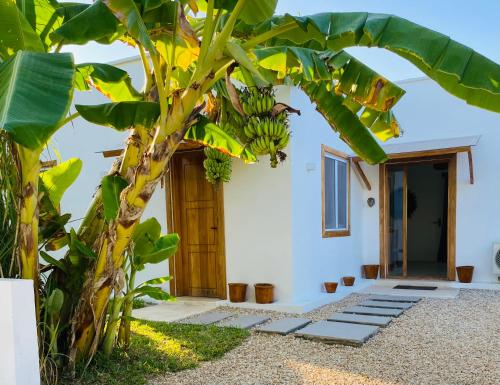 luxury lions villas zanzibar with private cookandinfinity pools