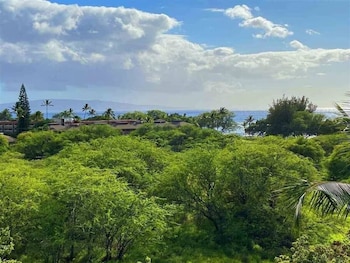 signature residences at maui banyan