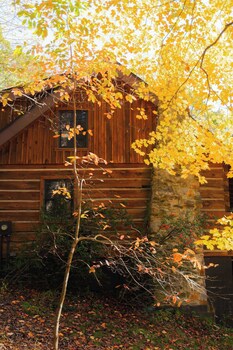 outdoors sleeps7 family getaway fun arcade