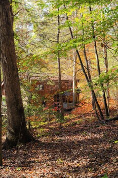 outdoors sleeps7 family getaway fun arcade