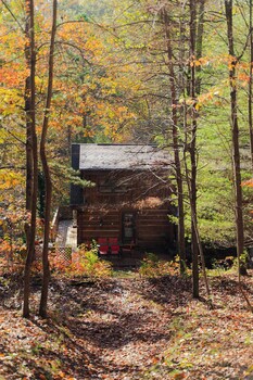 outdoors sleeps7 family getaway fun arcade