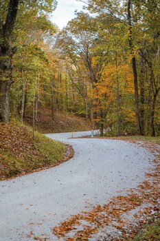 The Treetop Retreat Family Getaway In Scenic Hocking Hills,,3 star