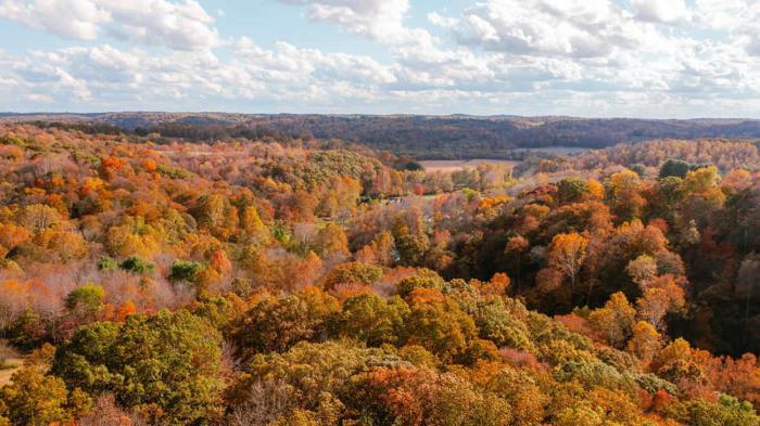 the treetop retreat family getaway in scenic hocking hills