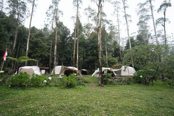 rancabali