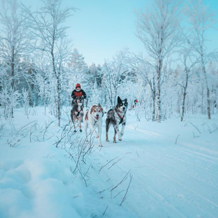 aurora hill resort