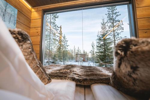 aurora hill resort