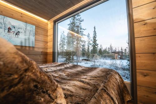 aurora hill resort