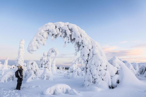 aurora hill resort