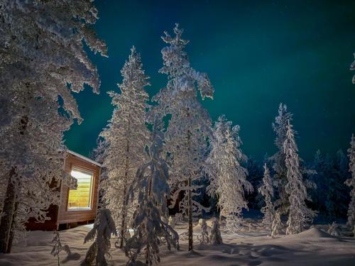 aurora hill resort