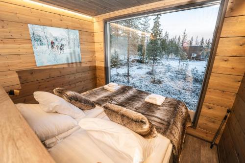 aurora hill resort