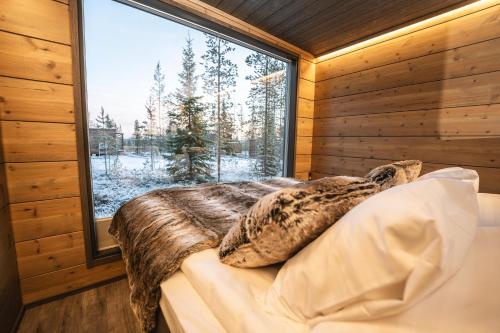 aurora hill resort