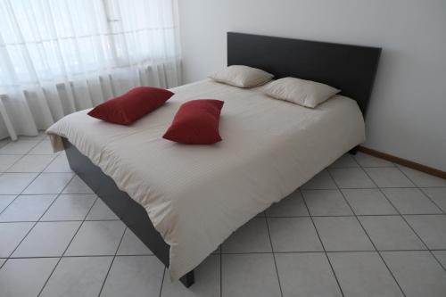 casa cleo