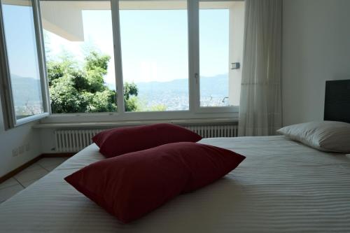 casa cleo