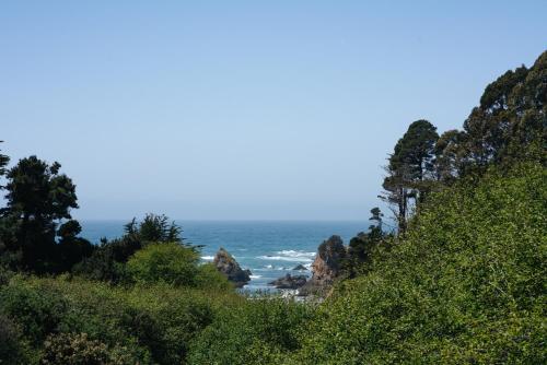 mendocino cove