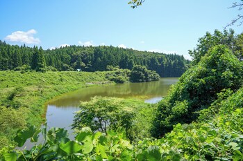 sakata log house