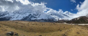 verve nepal