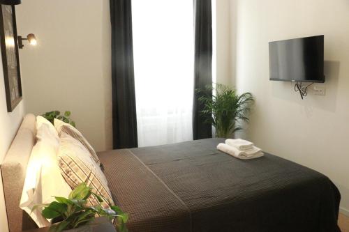 giulio cesare comfort rooms