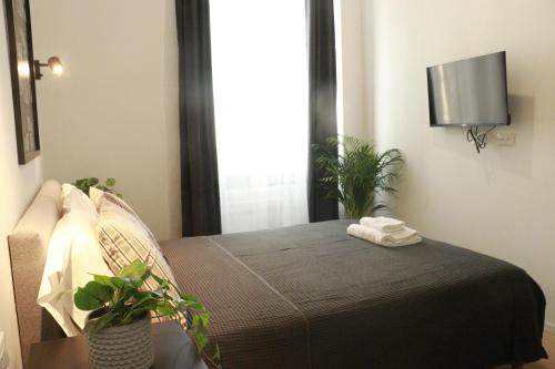 giulio cesare comfort rooms