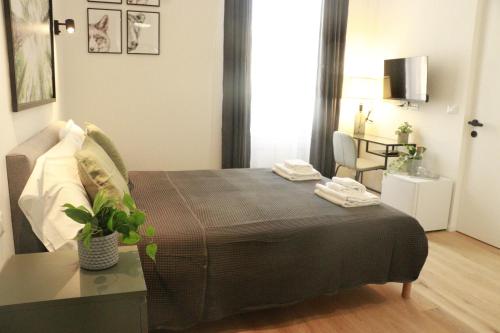 giulio cesare comfort rooms