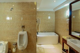airport golden tulip hotel