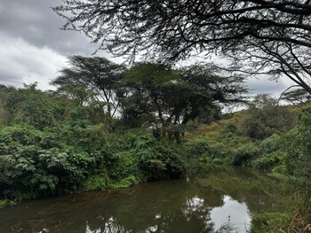 Koki Lodge,,3 star
