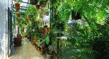 aulac hoian homestay