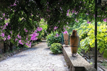 tenuta dellinviolata