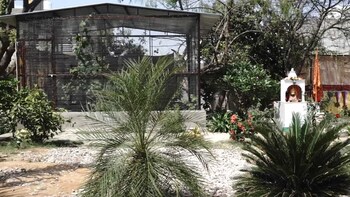 shyam luxurious huts and guest house