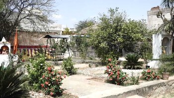 shyam luxurious huts and guest house