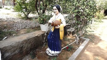 shyam luxurious huts and guest house