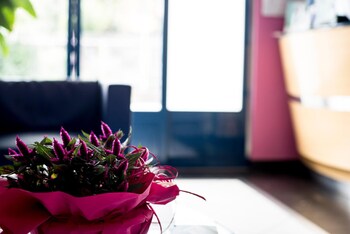 Hotel Ceretto,Cuneo>>Busca,3 star