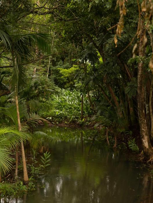 pousada indios coroados