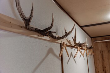 king deer