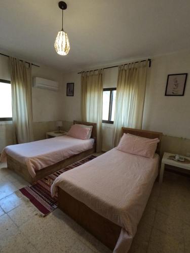 bandb petrafarmhouse