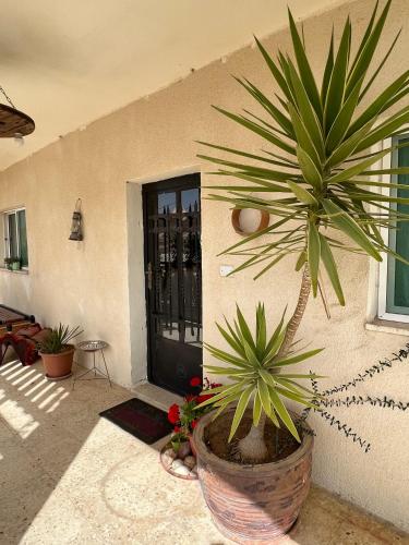 bandb petrafarmhouse
