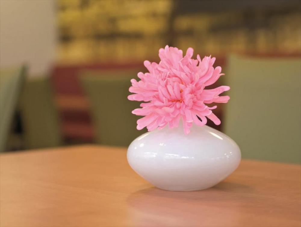 bandb hotel freiburg sud