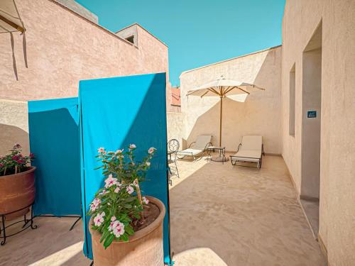 riad timija