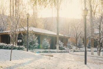 wellmore resort