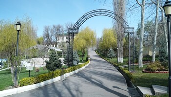 wellmore resort