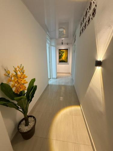 hospedarte cali sur