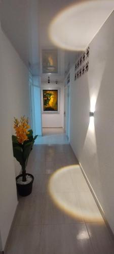 hospedarte cali sur