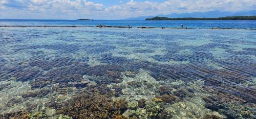 eagles nest beach resort samal island